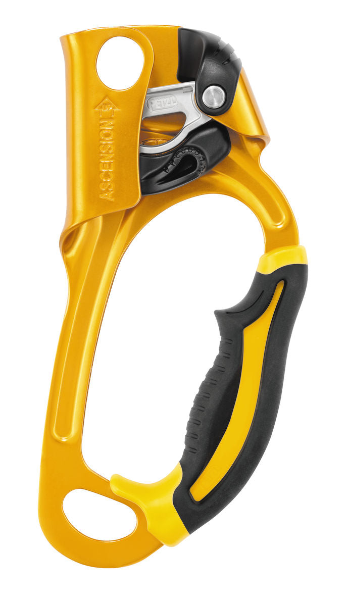 Petzl Ascension - HardHatGear